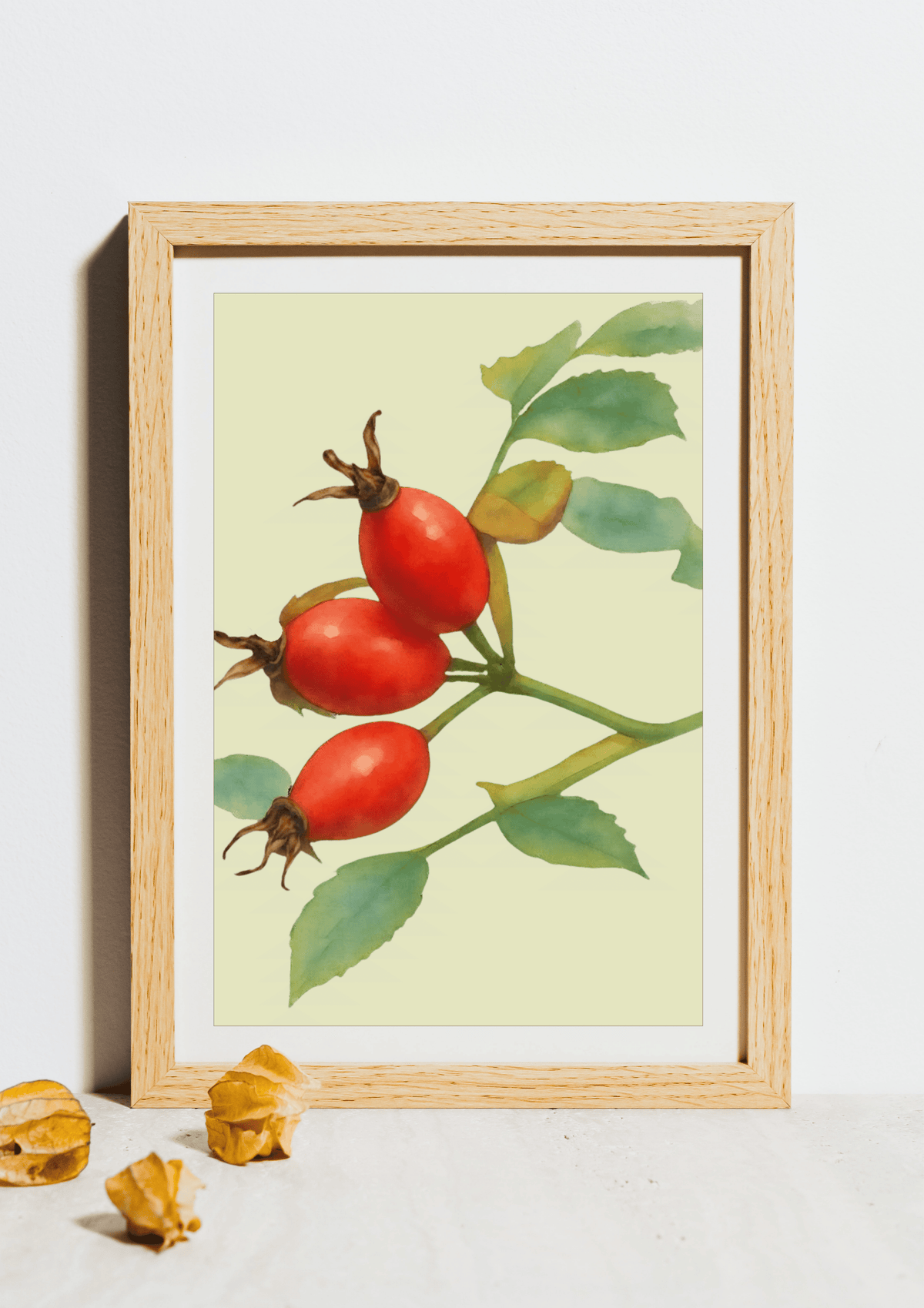 Rosehips Framed Print