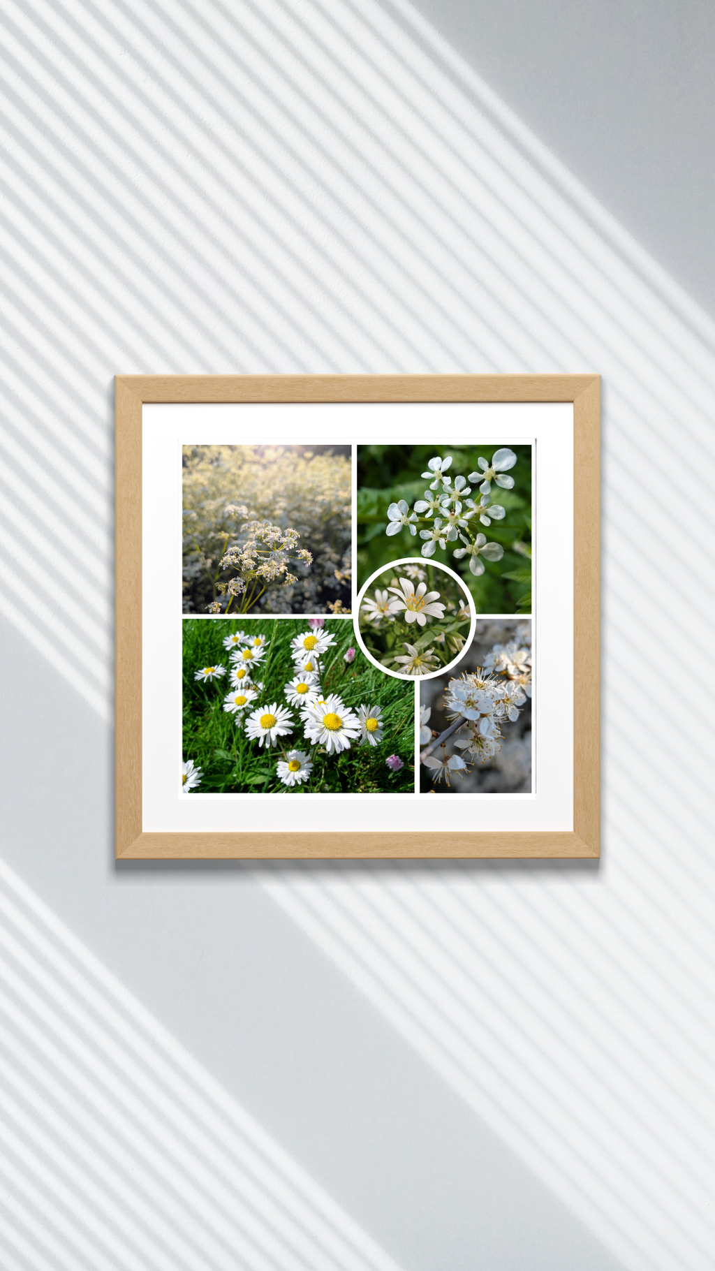 White wildflowers collage