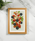 Wood framed print of berry cluster illustration with red and blackberries