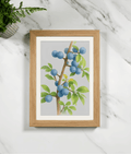 Wood framed print of blue berry branches with green leaves, botanical illustration