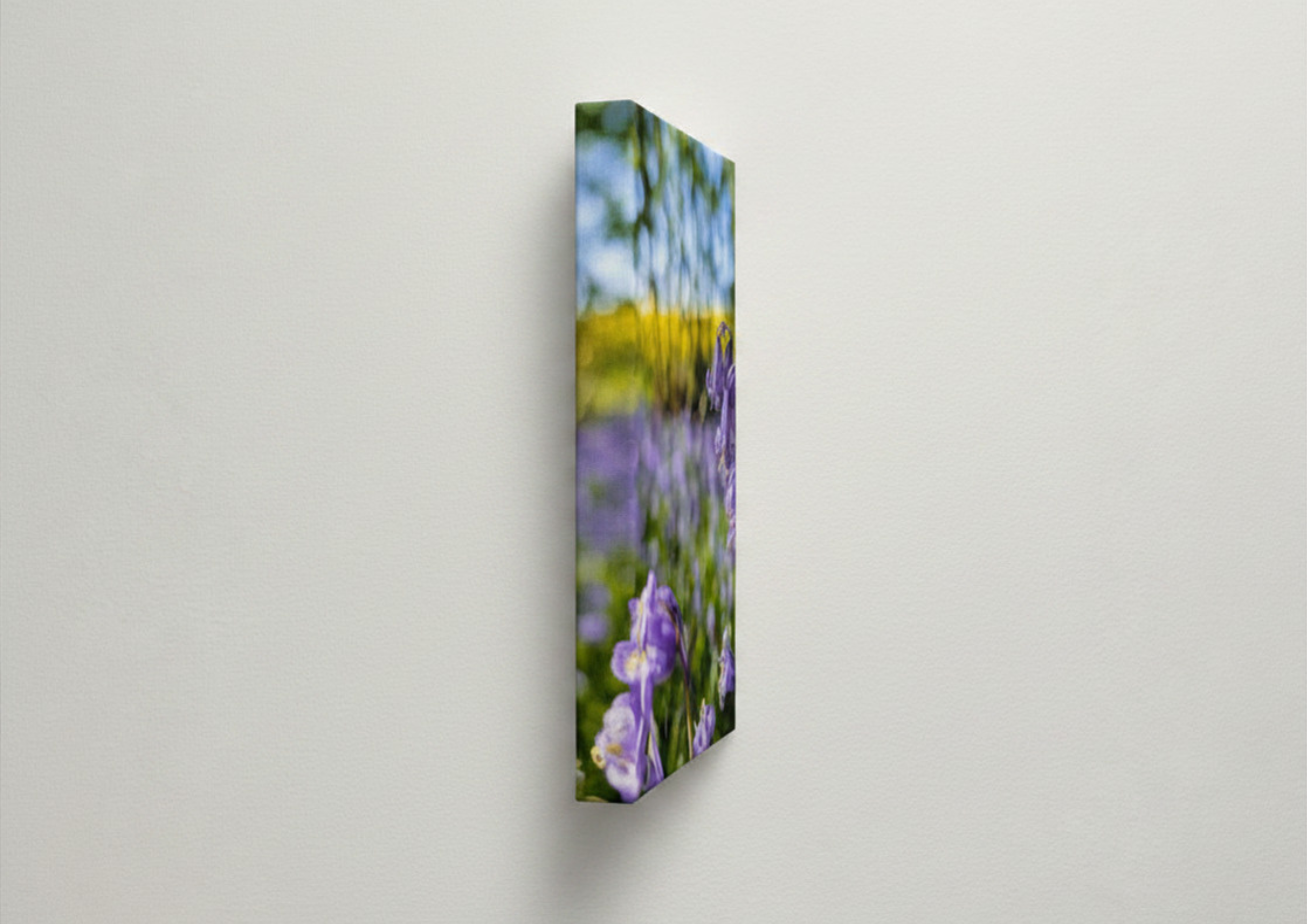 Canvas Bluebell photography print