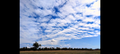 Landscape cloud formation print: blue sky with textured clouds over fields and trees