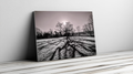 Landscape canvas print of oak trees and long shadows in a winter field, wall mounted