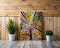 Autumn woodland canopy canvas print