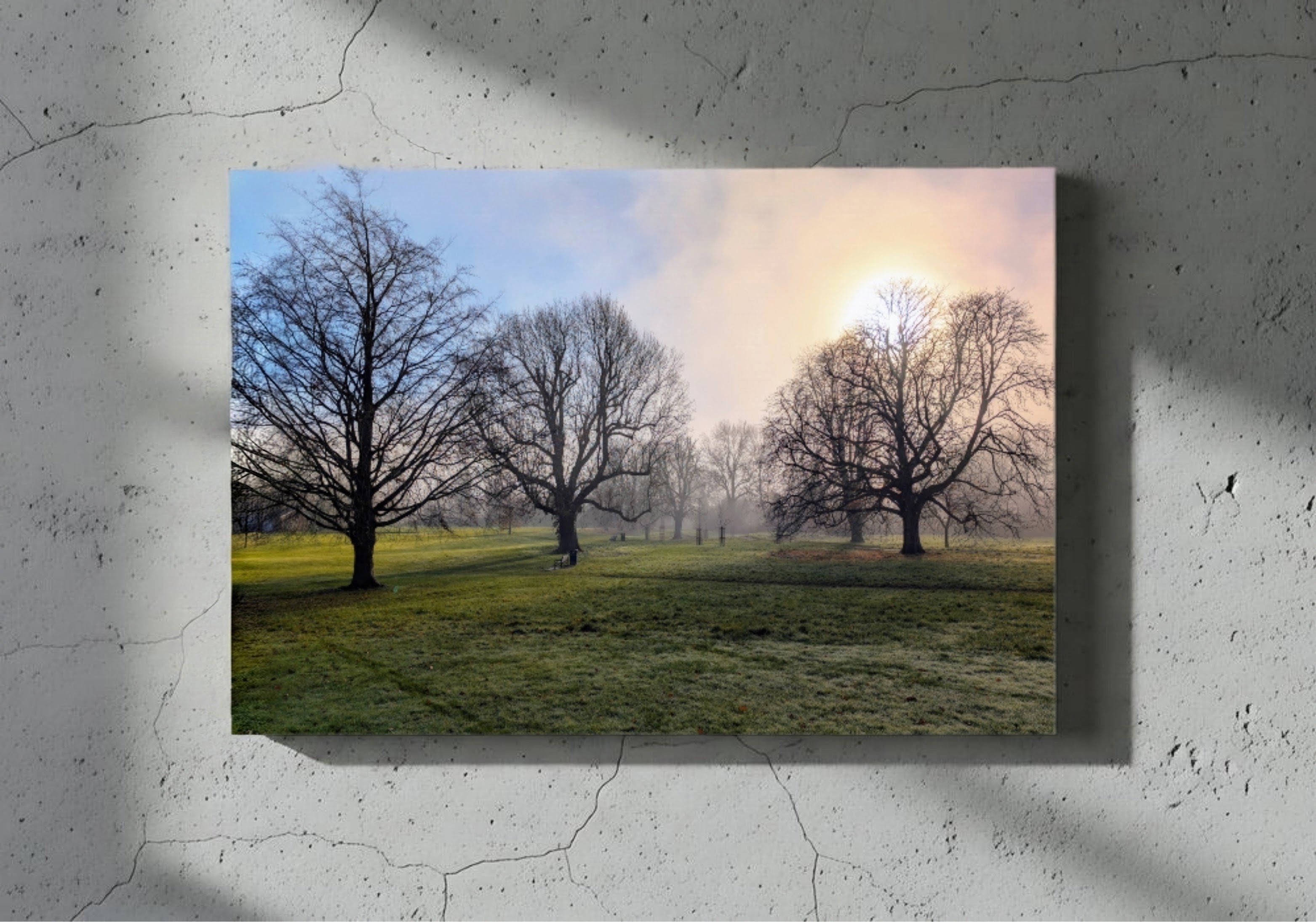 Landscape canvas print with bare trees, open field, and pale sunrise sky