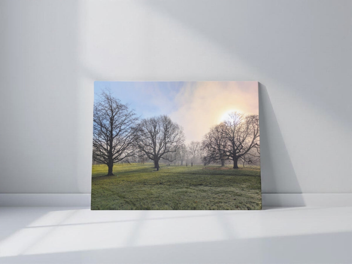 Landscape canvas print with bare trees over grassy field and soft misty sky