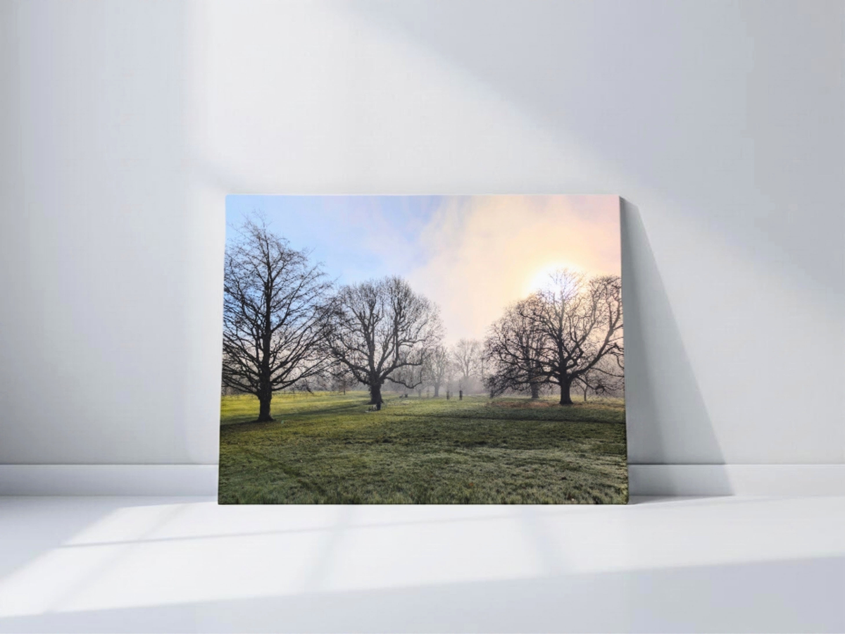 Landscape canvas print with bare trees and soft morning mist over a green field