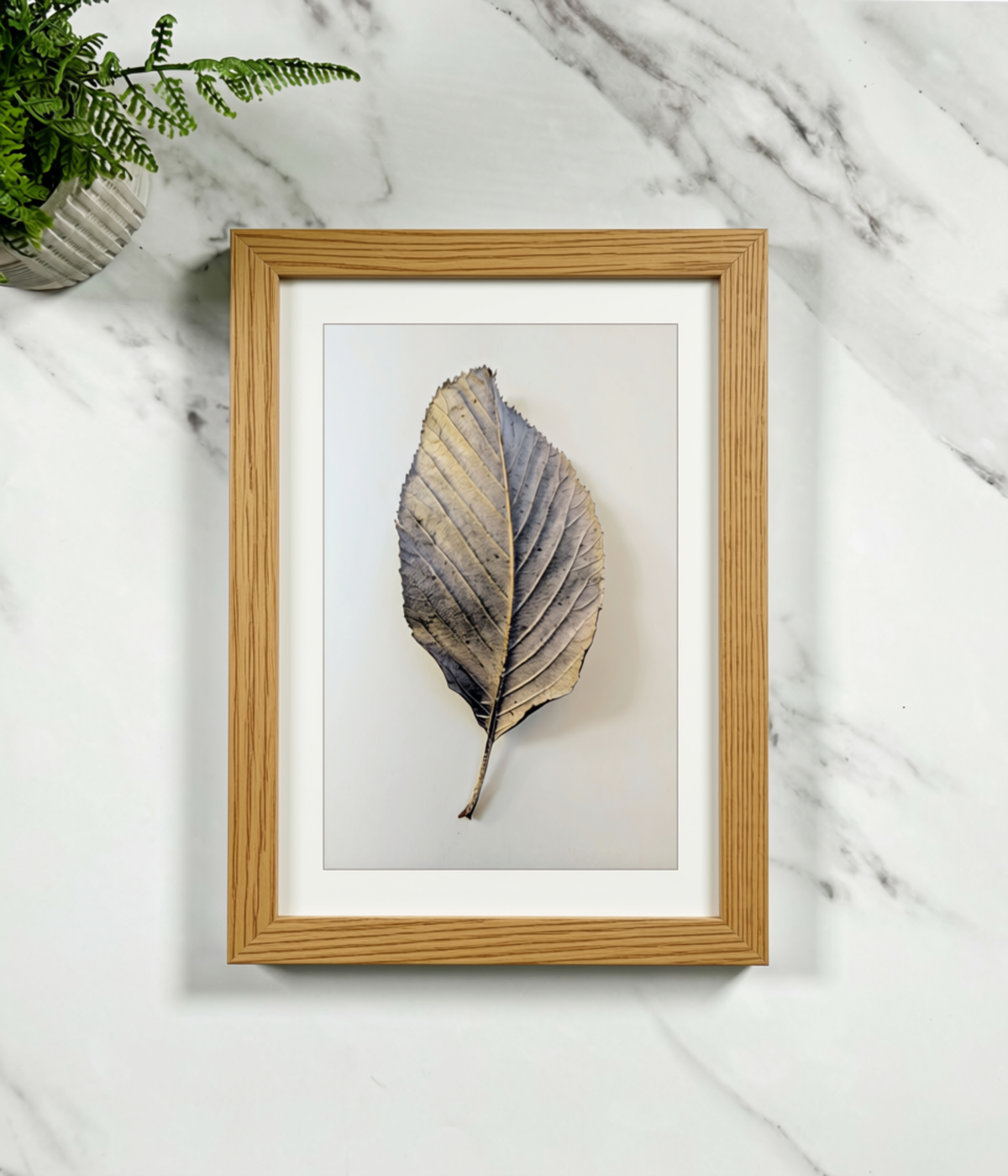 Oak wood framed botanical leaf portrait print, single pressed leaf illustration