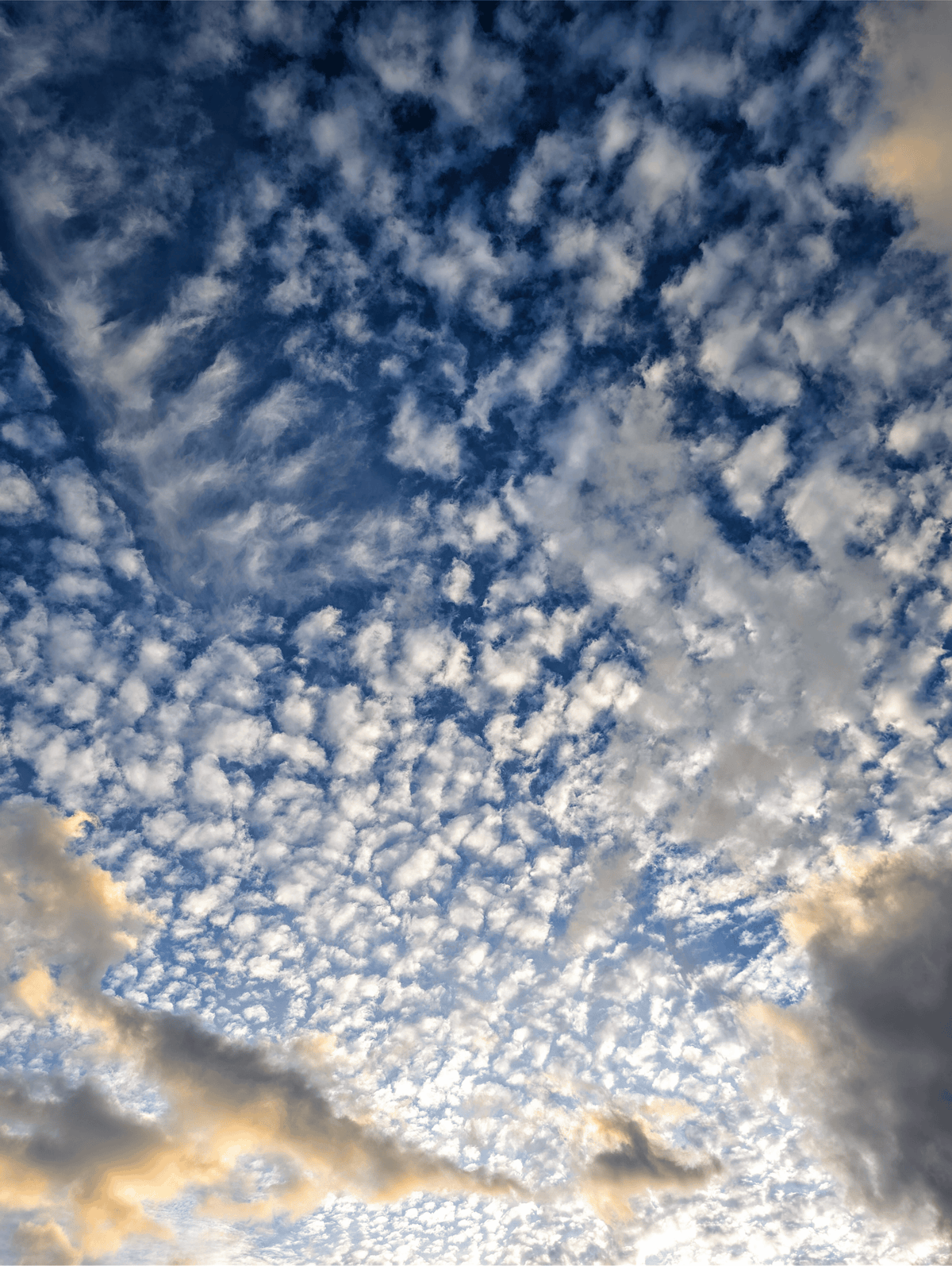 Stretched canvas print of blue and white cloud formation with soft golden highlights