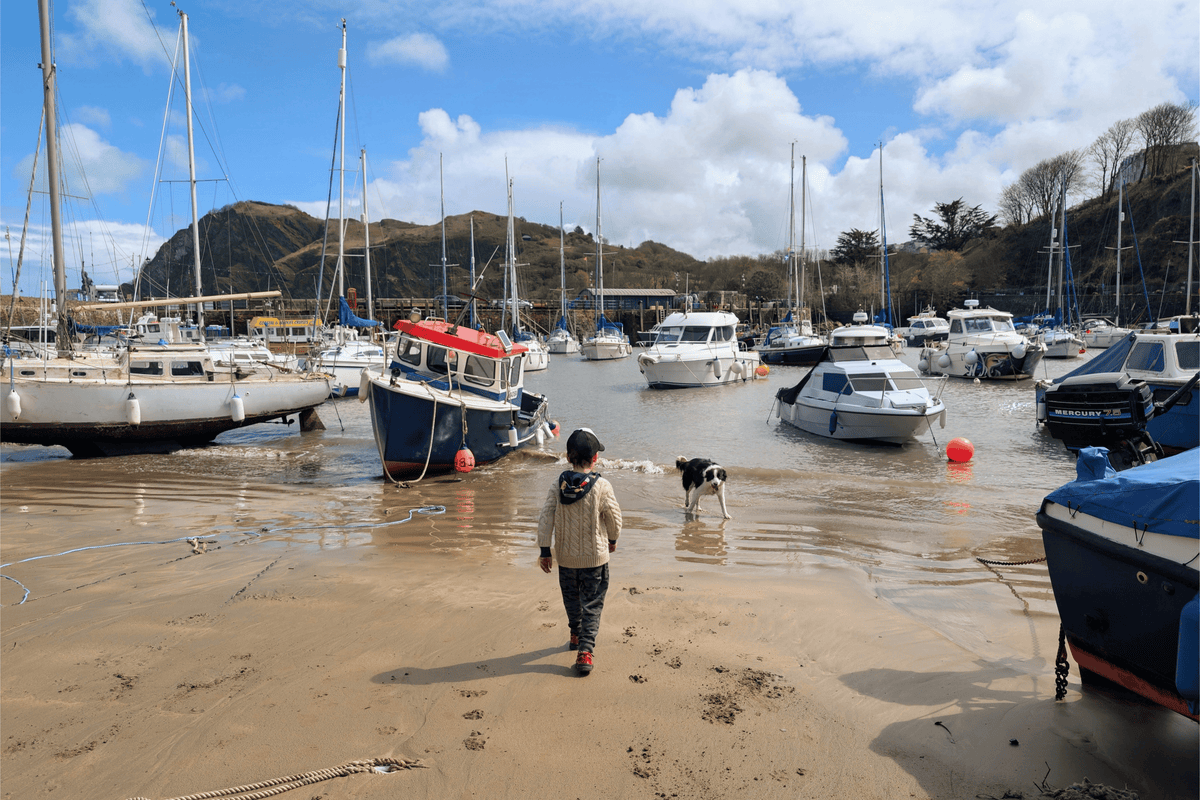 Eco canvas print of a harbor with sailboats docked and people walking on the quay