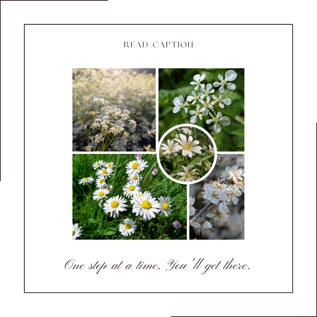 White wildflowers collage