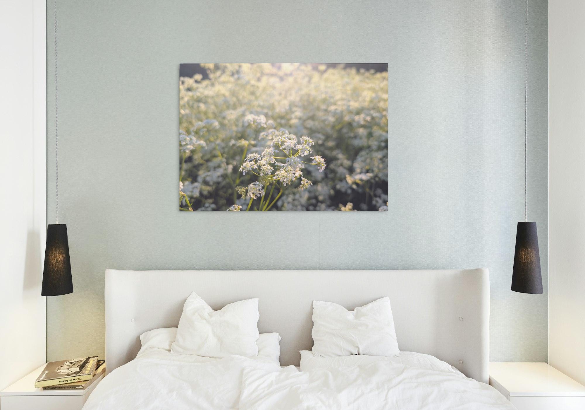 Cow parsley on a May evening