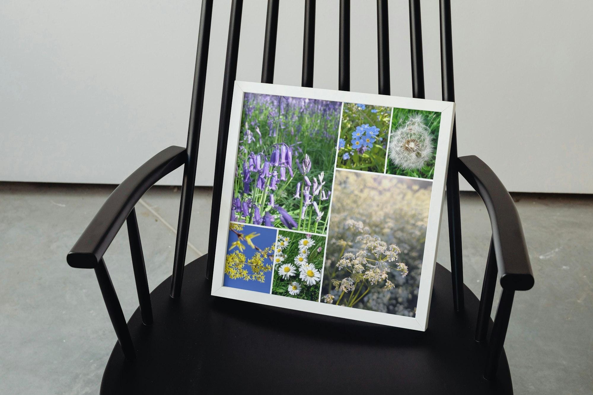 Cow parsley on a May evening