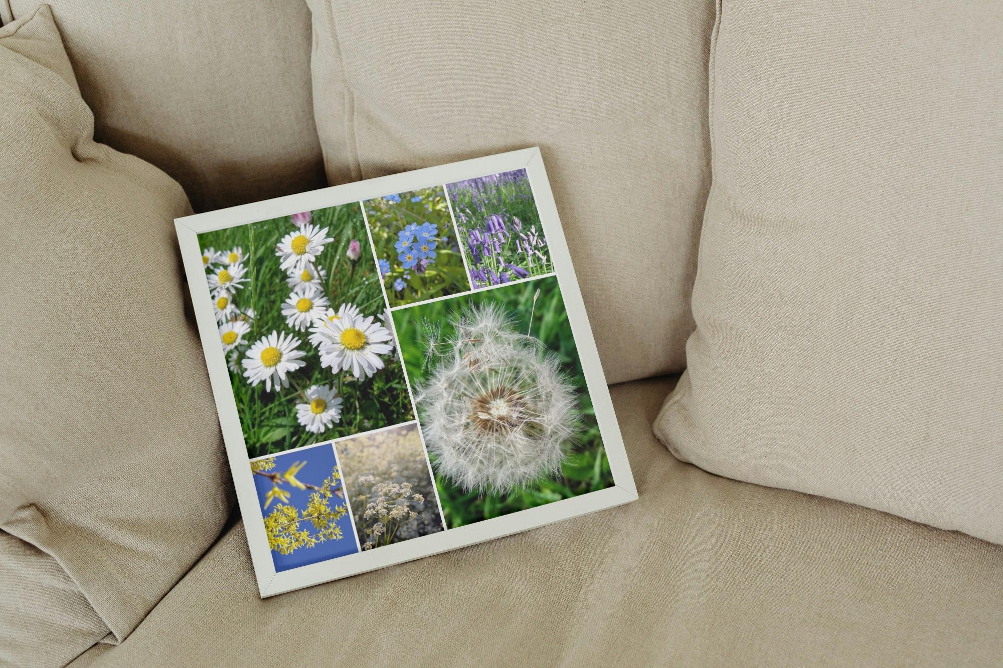 Forsythia and blue sky