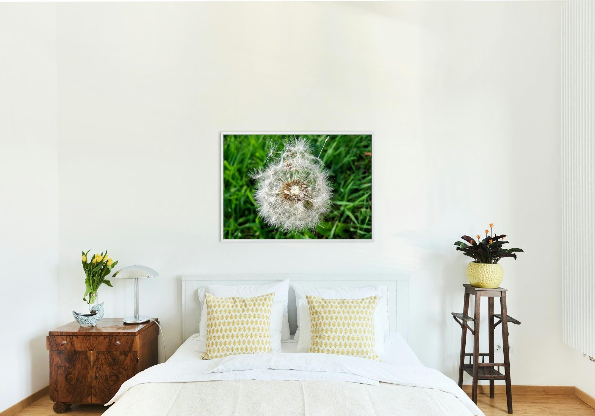 Dandelion seedhead in the grass