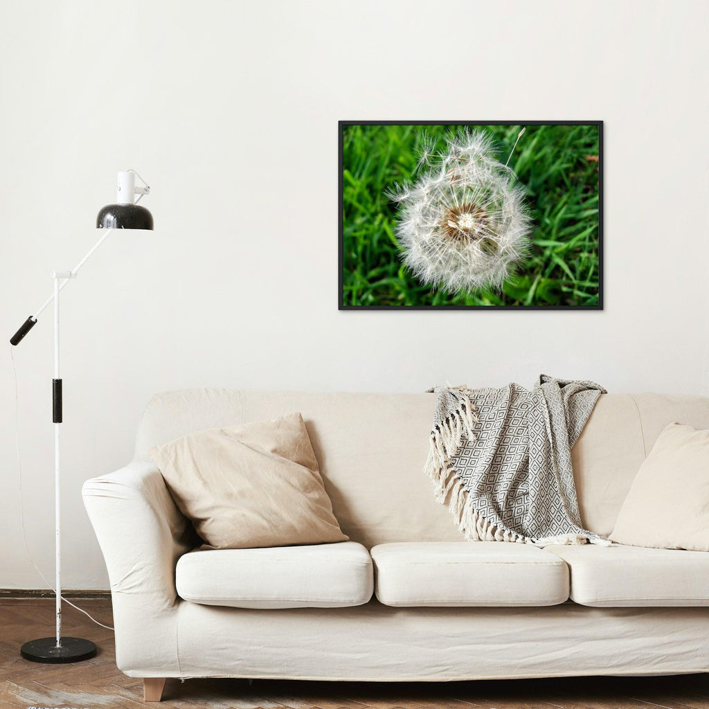 Dandelion seedhead in the grass