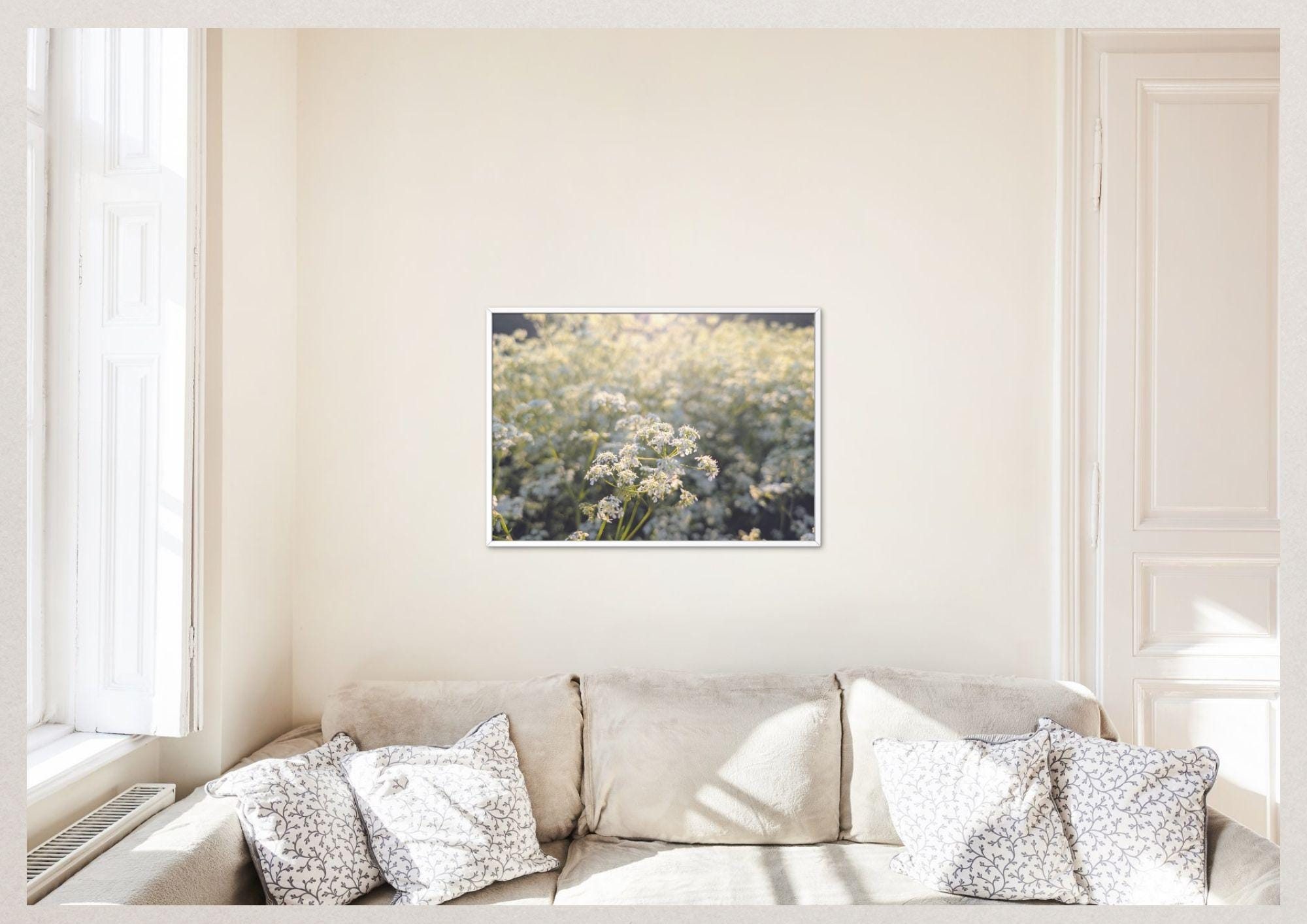 Cow parsley on a May evening