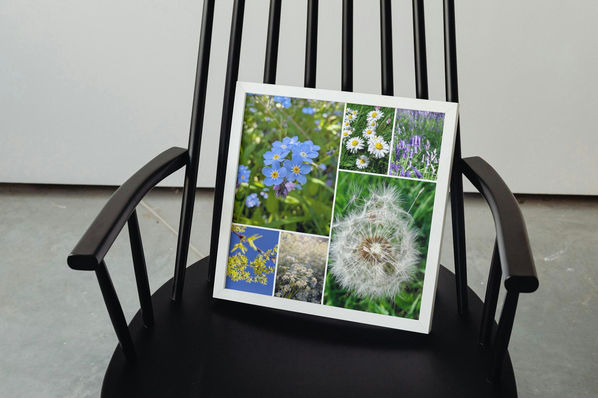 Forget-me-nots in the woodland
