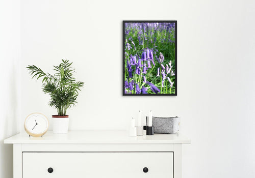 Framed bluebell floral artwork with purple and white flowers