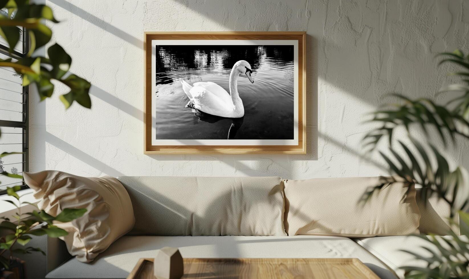 Lone Mute swan gliding gracefully on the river, in black and white