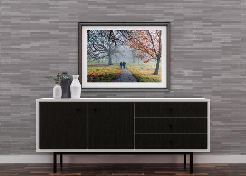 A morning walk in the misty park