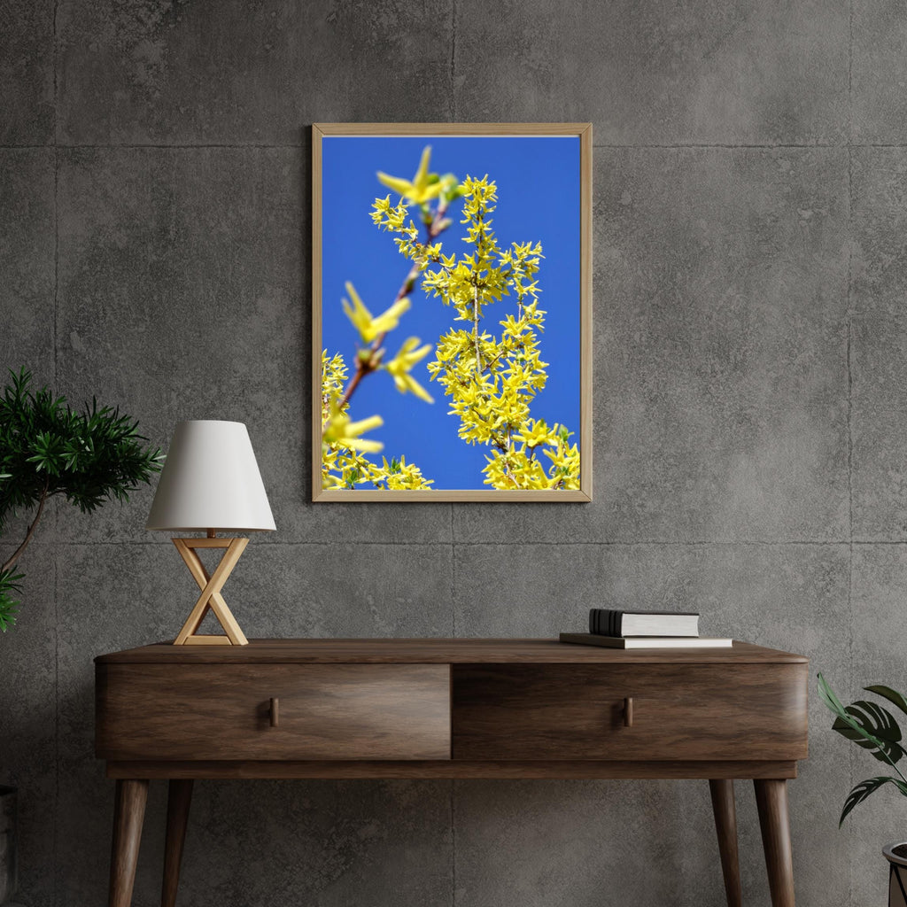 Forsythia and blue sky