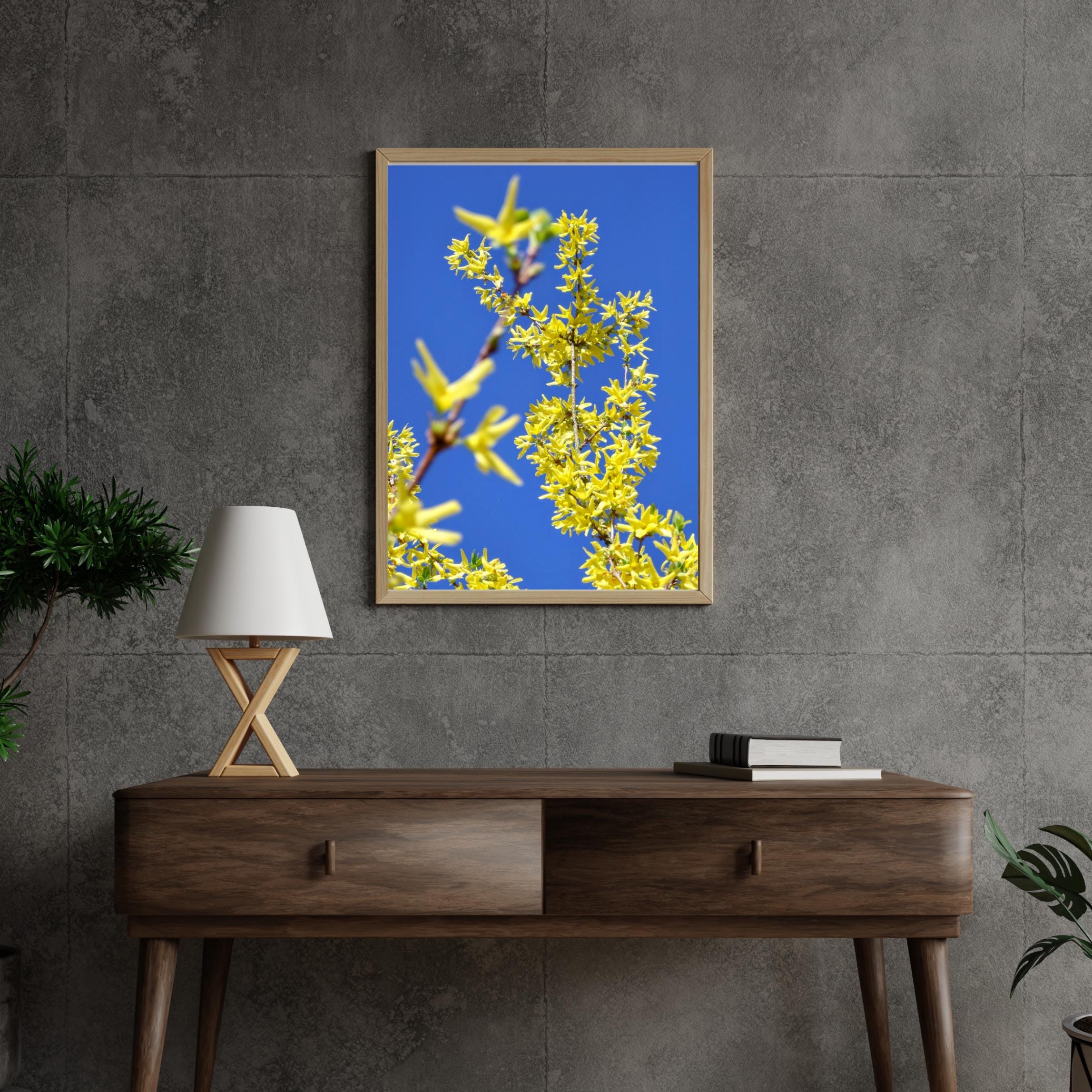 Forsythia and blue sky