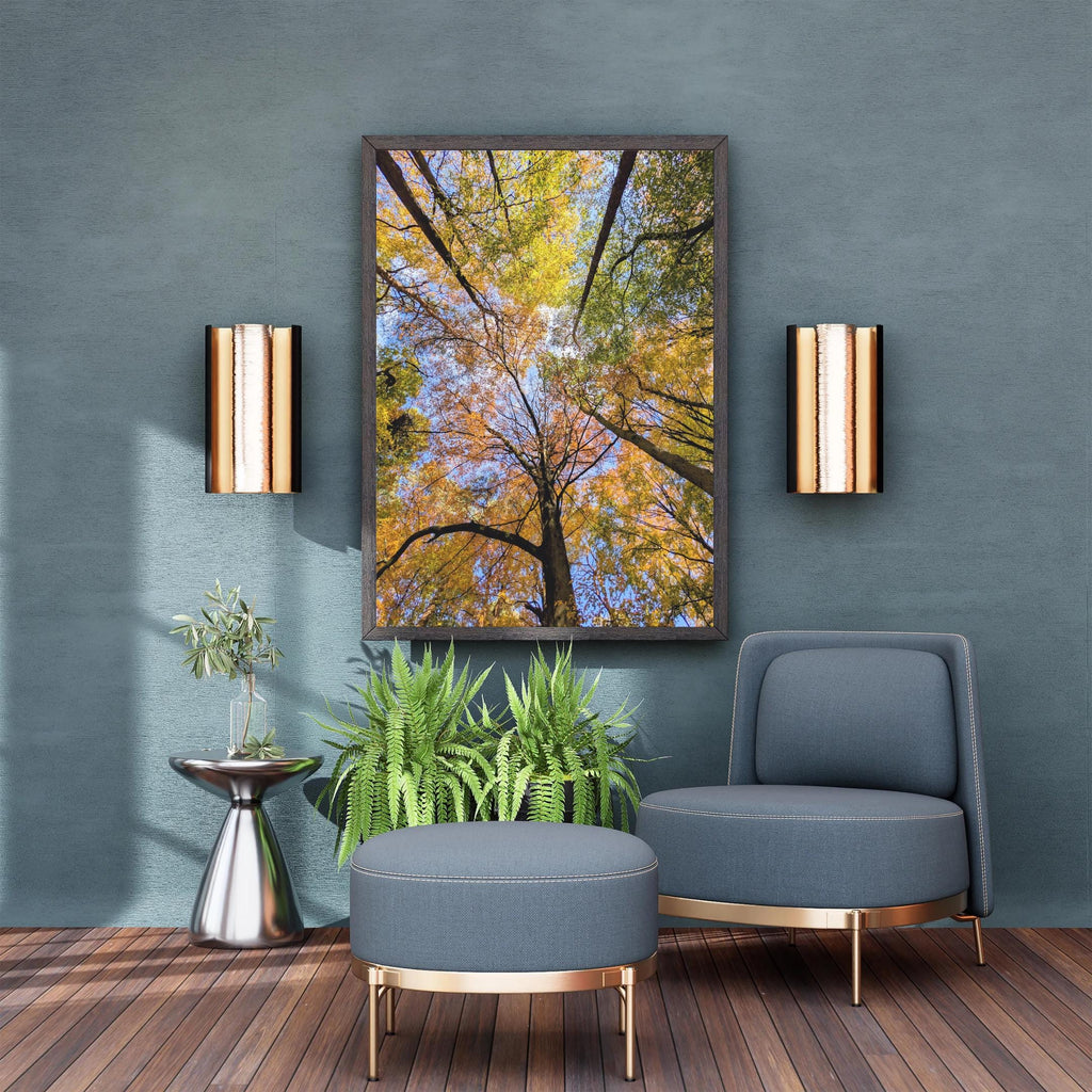 Tree canopy in autumn