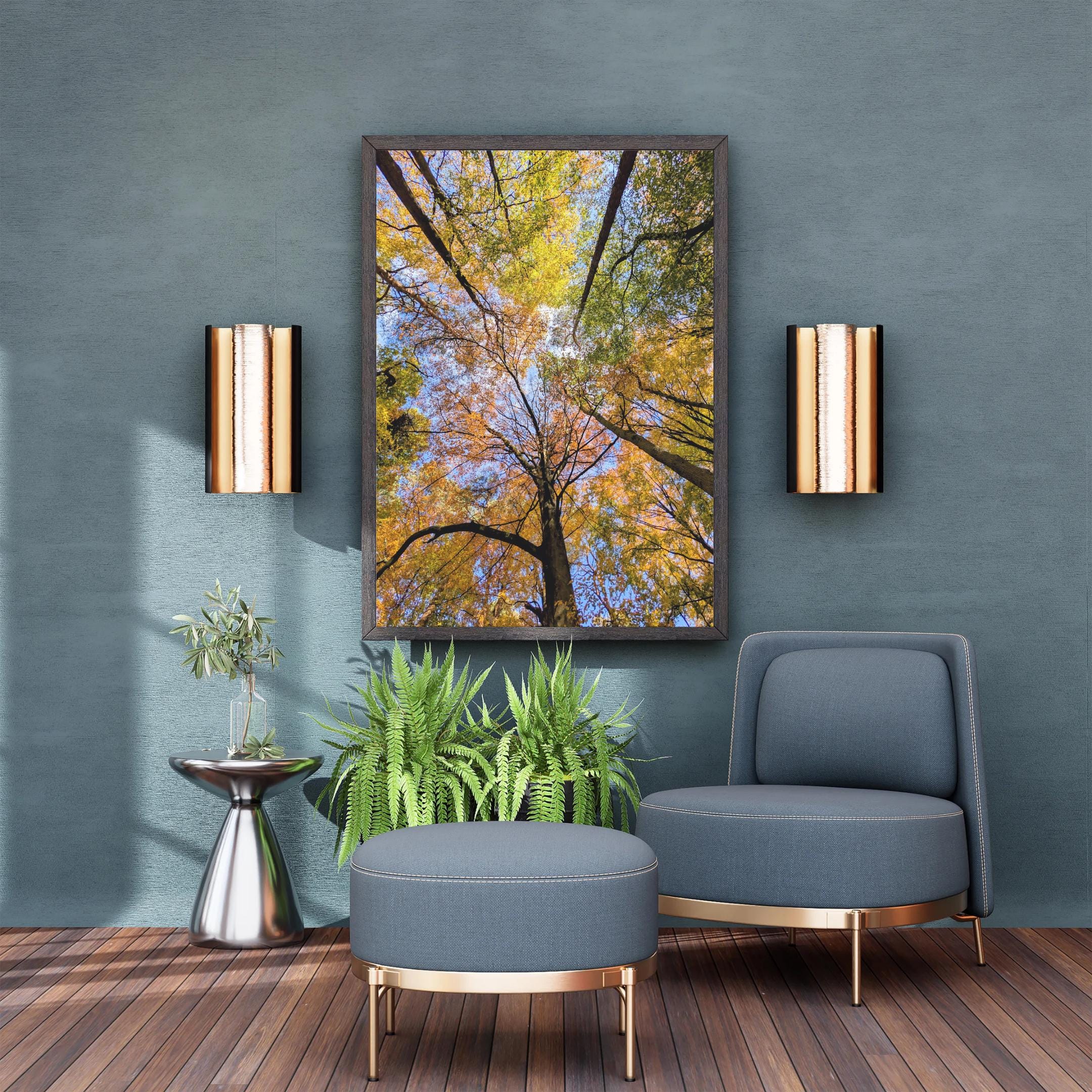 Tree canopy in autumn