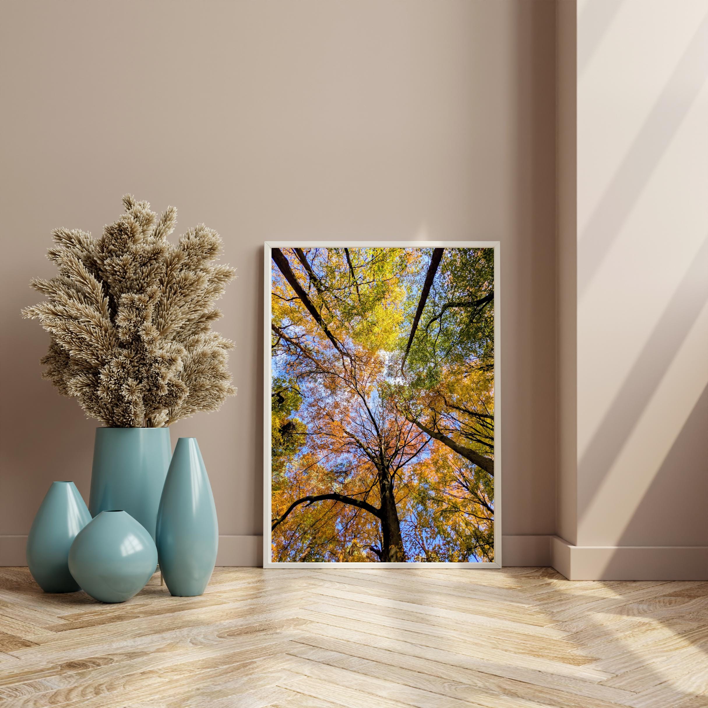Autumn tree canopy digital photo download, golden leaves, Chipperfield Common Woods Hertfordshire