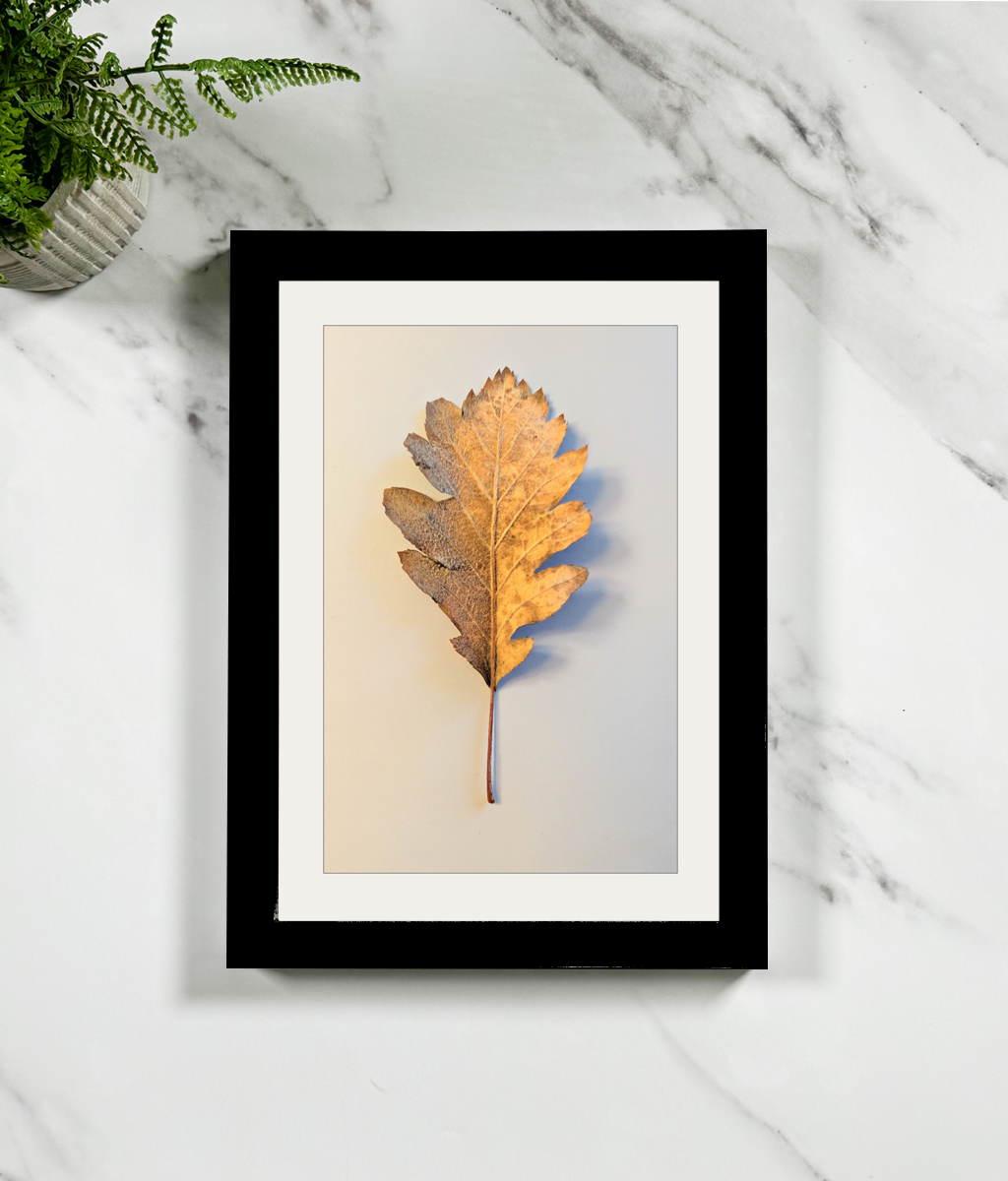 A4