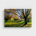 Wall-mounted landscape canvas print showing autumn trees and a canal with water