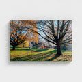 16x24" canvas print featuring two autumn trees along a winding grassy canal path