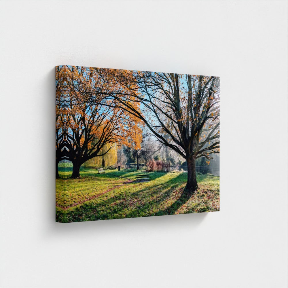 16x24" canvas print of orange-leaf trees and a grassy path beside a canal