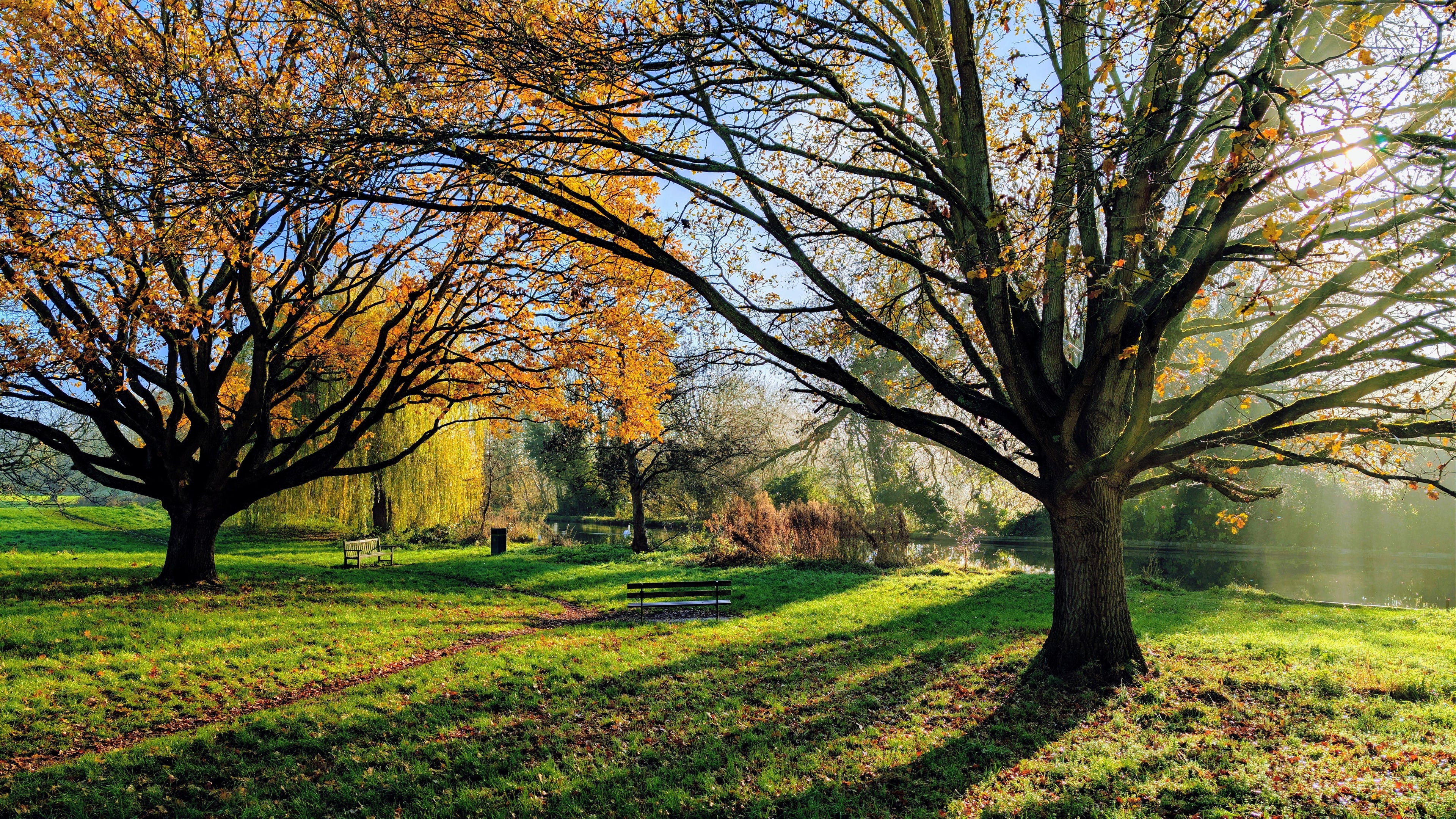 Landscape canvas print with autumn trees and a winding path beside a canal