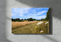 Landscape canvas wall art with hay meadow path and blue sky
