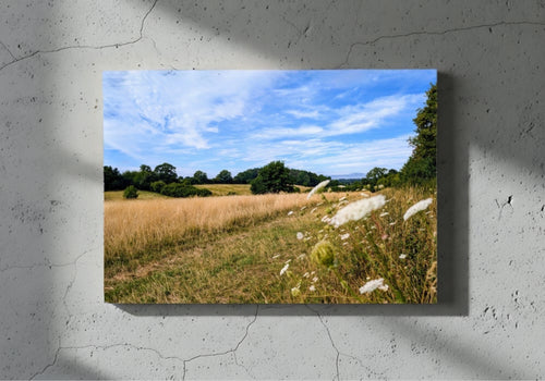 Landscape canvas wall art with hay meadow path and blue sky